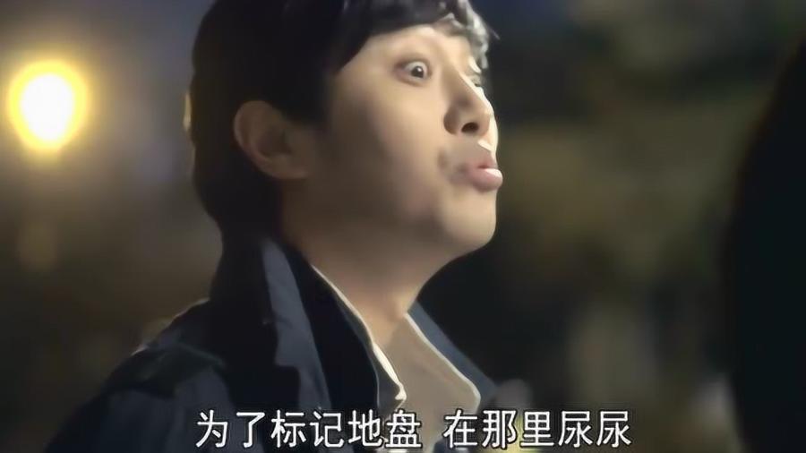 探索男女在感情认知上的差异-知识星球平台
